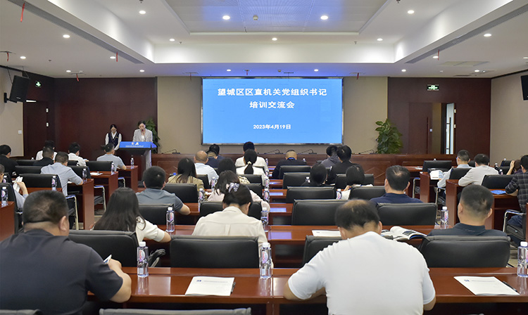 公司職能黨支部書記、黨群綜合部副部長（主持黨建工作）周葵主持會議.jpg